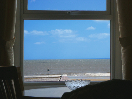 window view